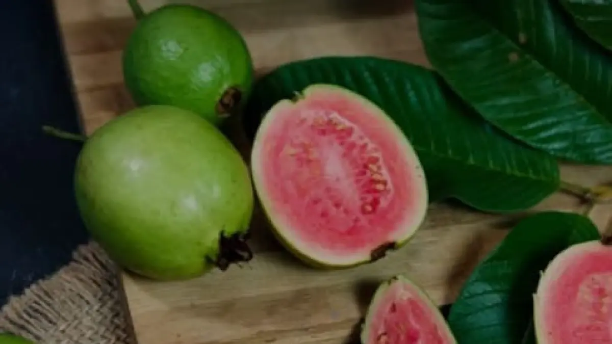 Ilustrasi, jambu biji menjadi salah satu buah yang baik untuk meningkatkan trombosit.(pexels.com)