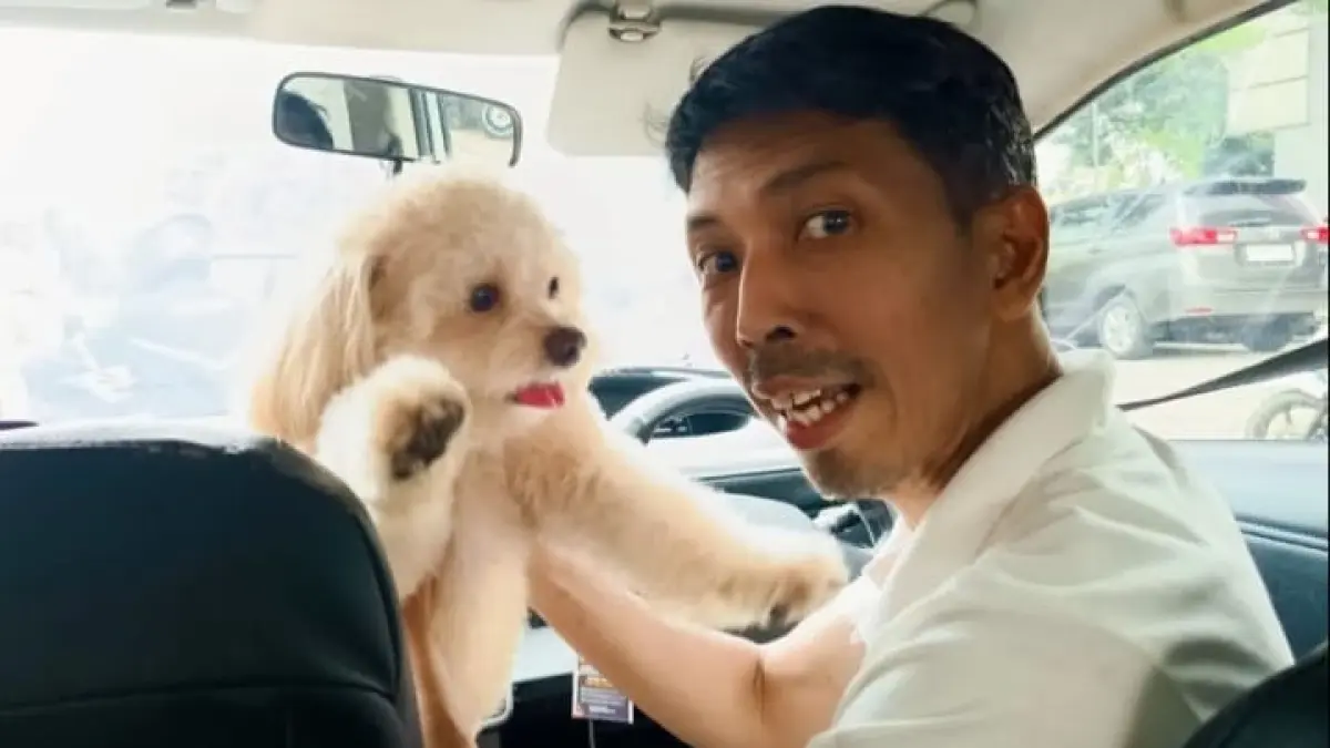 Theo Suhandoko mengembangkan jasa taksi anjing dengan omzet hingga Rp1 juta per hari.(Instagram @pandemictalks)