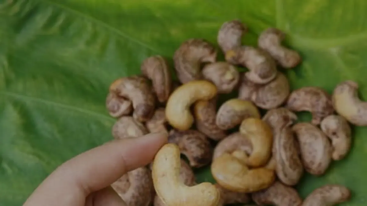 Ilustrasi, kacang mete menjadi salah satu kacang-kacangan yang baik untuk diet. (pexels.com)