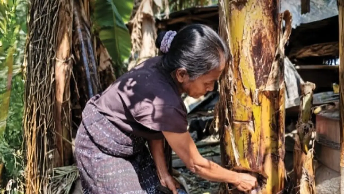 Krisis air bersih melanda Desa Tuanggeo, Sikka, NTT.(Instagram @cretivox)