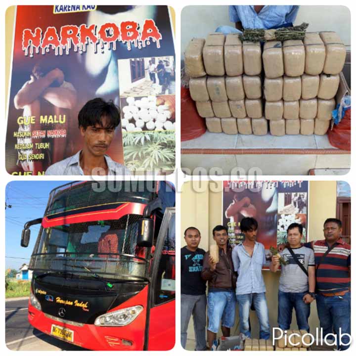 Foto tersangka pembawa narkoba jenis ganja dan barang bukti yang diamankan petugas. Dan foto kasat Narkoba baju putih saat memaparkan tangkapannya beberapa hari lalu