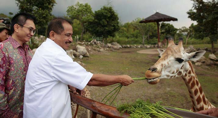 Menteri Pariwisata Arief Yahya memberi nama si jabang bayi Jerapah jantan yang lahir di Taman Safari Indonesia (TSI) II Prigen, Pasuruan, Jatim,