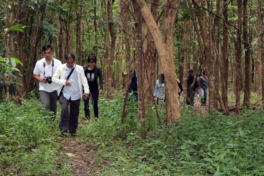 Foto: Corcomm Martabe for Sumut Pos Jurnalis meninjau hutan hasil reklamasi pascatambang di Bukit Mesel, Kecamatan Ratatotok, Ratahan, Minahasa Tenggara, Sulawesi Utara. Berbagai tanaman keras bernilai ekonomi tinggi tumbuh subur di sana. Bukit ini duluny