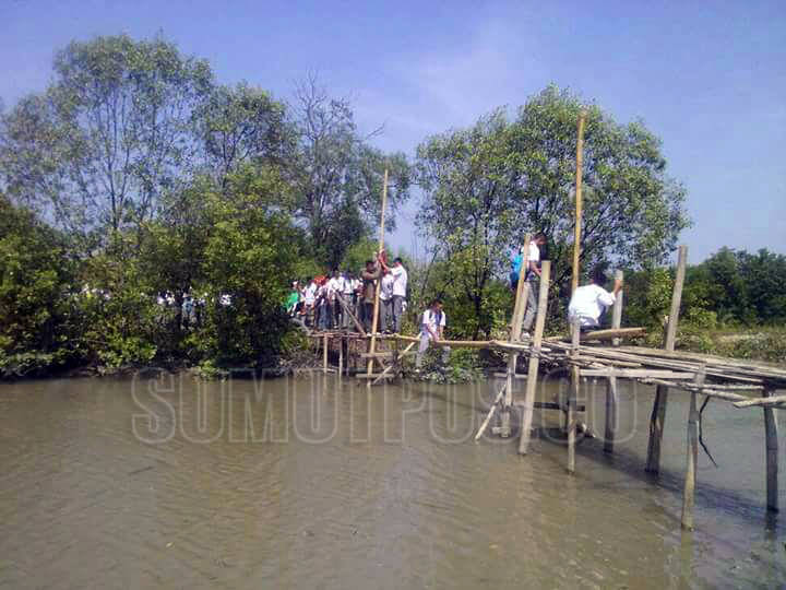 Foto: JEFRI TANJUNG/SUMUT POS  MENITI BAMBU: Para siswa-siswi SMK Negeri 1 Medang Deras saban hari melewati jembatan kecil yang terbuat dari bambu, karena sekolah mereka dibangun di atas lahan hutan mangrove.