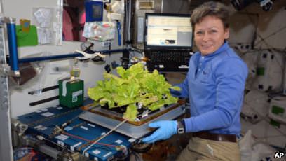 Astronot AS Peggy Whitson saat berada di Stasiun Antariksa Internasional (ISS) pada 30 Mei lalu (foto: dok).