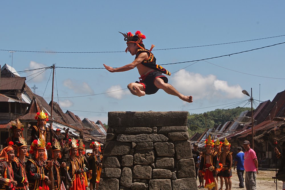 Lompat Batu di Nias. Pesta budaya di Nias akan digelar pada 23 - 26 November 2017 lewat Pesta Ya