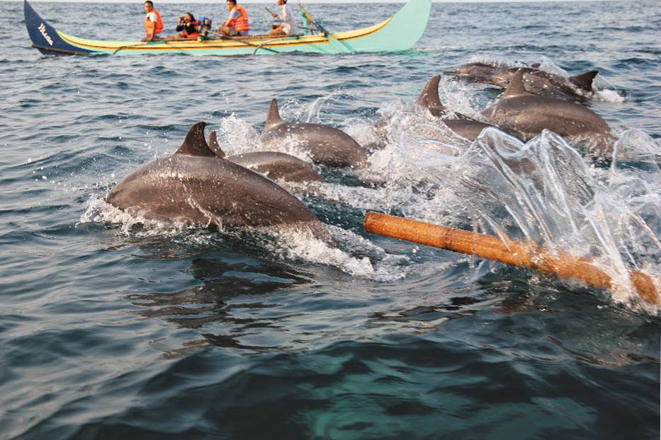 Teluk Kiluan adalah objek wisata pantai yang terletak di Pekon (Desa) Kiluan Negeri, Kabupaten Tanggamus Provinsi Lampung dengan potensi wisata bahari, dan terkenal dengan banyaknya lumba-lumba.