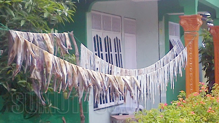 Foto: Fachrul Rozi/Sumut Pos Sebuah rumah warga di Gang Jambu Rangas Pulau Marelan, tengah menjemur kulit biawak.