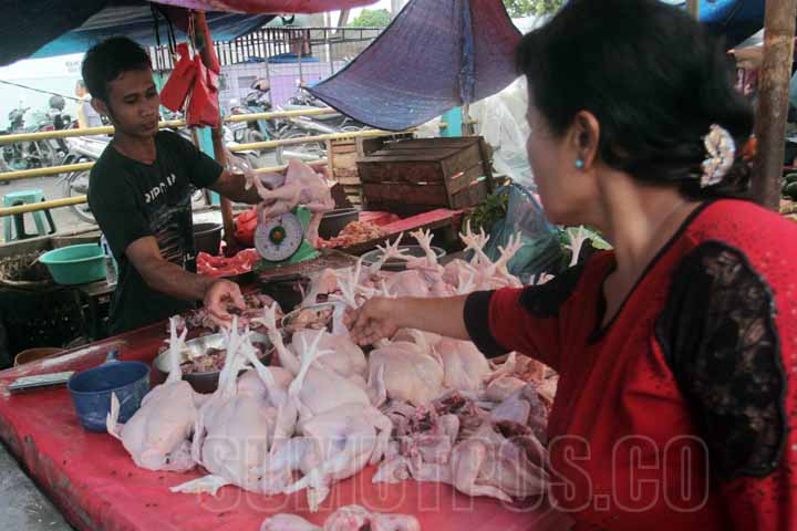 SUTAN SIREGAR/SUMUT POS        BERJUALAN_Seorang pedagang ayam potong melayani pembeli di Pasar Sukarame Medan, Kamis (10/5) Menjelang bulan ramadhan harga ayam potong naik dari harga normal Rp.28.000 menjadi Rp.32.000.