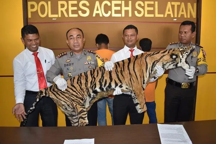 Foto: Ist for Sumut Pos  Tersangka dan barang bukti saat diamankan di Mapolres Aceh Selatan.