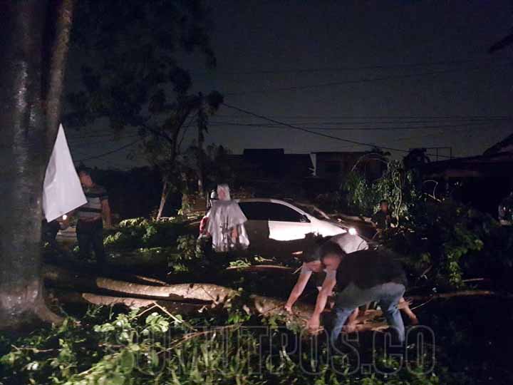Foto: Bagus Syahputra/Sumut Pos Salah satu mobil yang ringsek ditimpa pohon di Jalan Ngumban Surbakti, Kamis (5/7) malam.  Tumbangnya pohon tersebut akibat hujan deras dan angin kencang yang melanda Kota Medan.