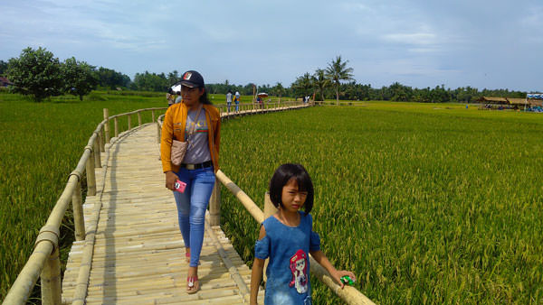 batara/sumut pos MENIKMATI: Sejumlah wisatawan lokal saat mengunjungi lokasi Agrowisata Paloh Naga di Dusun IV, Desa Denai Lama, Kecamatan Pantai Labu, Kecamatan Deliserdang.