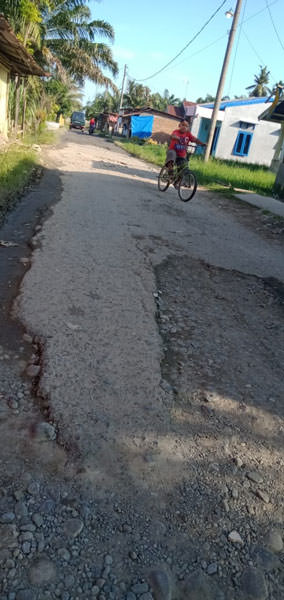 ILYAS EFFENDY/SUMUT POS BERLUBANG: Kondisi Jalan Cempaka yang rusak parah dan berlubang-lubang.