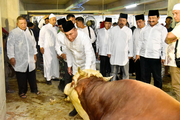 KURBAN: Gubsu, Edy Rahmayadi menyerahkan bantuan hewan kurban di Masjid Agung Medan, Jalan Pangeran Diponegoro Medan dan Masjid Raya Al Mashun Jalan Sisingamangaraja Medan, Minggu (11/8).