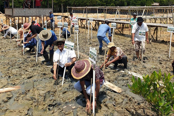 TANAM MANGROVE: Kepala DLH Sumut, Binsar Situmorang (dua dari kanan/baju putih) dan peserta lainnya menanam tanaman mangrove di Desa Lubuk Kertang,  Langkat, Jumat (6/9).