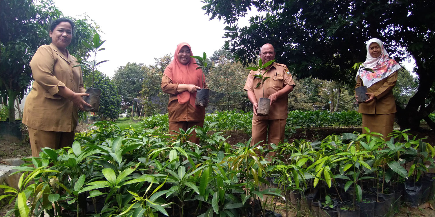 Foto: Dame Ambarita/Sumut PosJUAL BIBIT: Kepala UPT BIH, Muddin Dalimunthe, Didampingi Kasubag Tata Usaha UPT BIH, Dinas TPH Sumut, Sri Wahyuni Putri, Kasi Pelayanan Teknis, Nuriman Tambunan, dan Kasi Produksi, Yovie Manurung, menunjukkan bibit tanaman b