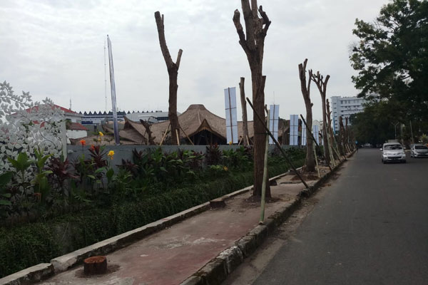 TANAM: Jenis Pohon Tabebuya sudah ditanam pada badan jalan (trotoar) di depan Restoran Mutia Garden, Jalan Cut Mutia Kota Medan, Selasa (14/7).markus/sumut pos.