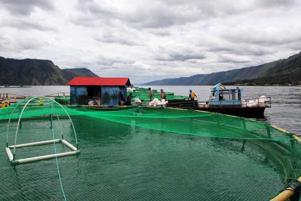 KJA DI DANAU TOBA: Keramba Jaring Apung milik PT Aqua Farm Nusantara (Regal Spring Indonesia) di perairan Desa Pangambatan-Lontung, Danau Toba. Menurut Manajer Lingkungan RSI, kualitas air Danau Toba secara umum tidak ada perubahan signifikan dari tahun k