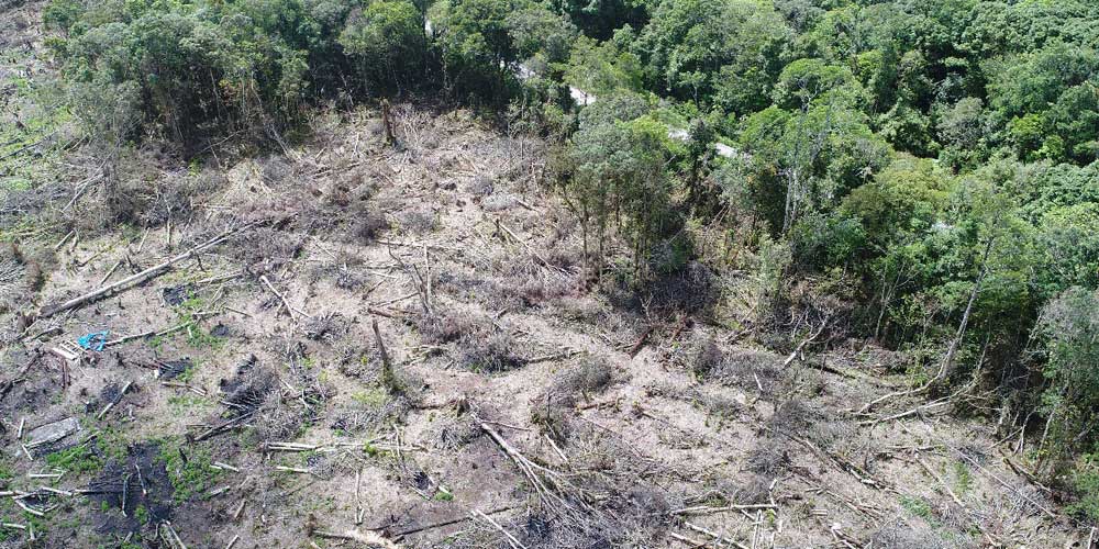 DIRAMBAH: Kawasan hutan lindung Lae Pondom, Desa Silalahi 2, Kecamatan Silahisabungan, Kabupaten Dairi merupakan zona L1 penyangga air Danau Toba, rusak dirambah para pembalak liar. SUMUT POS/ist.