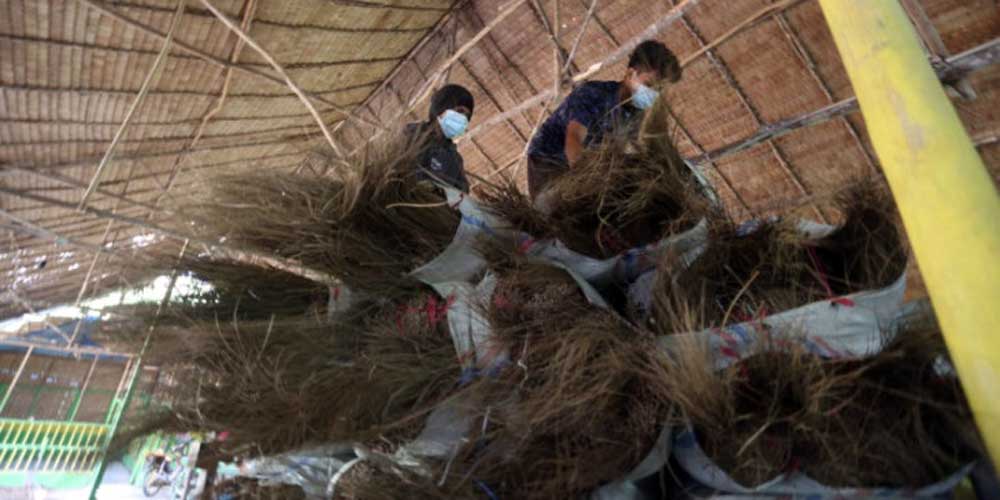 SUSUN: Pekerja sedang menyusun lidi untuk pengiriman ke Pakistan dari Kampungan Mafta Darussalam, Kecamatan Sei Lepan, Kabupaten Langkat, Minggu (8/8).