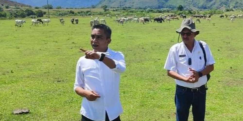 TINJAU: Wakil Bupati Karo Theopilus Ginting, saat meninjau kawasan Mbal-mbal Nodi, yang sudah banyak beralih fungsi jadi lahan pertanian.