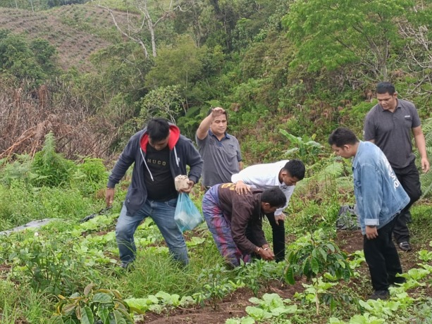 BARANG BUKTI. Kasat Reskrim Polres Dairi, AKP Rismanto Purba (kanan) menggiring pelaku pembunuhan beriisial RM, untuk mencari barangbukti perhiasan emas milik diareal perladangan di desa Dolok Tolong, kecamatan Sumbul, Dairi.SUMUTPOS.CO/ISTIMEWA.