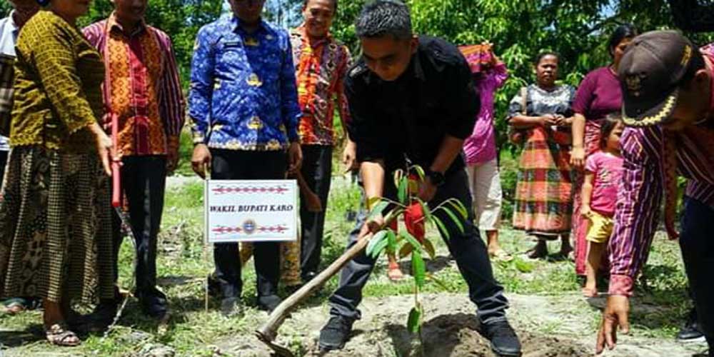 TANAM: Wakil Bupati Karo Theopilus Ginting saat menanam pohon di Desa Jandi Meriah, Jumat (13/5).