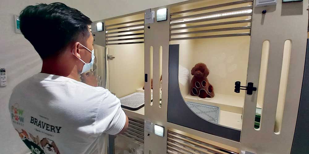 METROPAWLLYS: Hotel penginapan anjing (doggy) di Jalan KH Wahid Hasyim No 6 Medan (foto atas). Seorang wanita menggendong anjing kesayangannya untuk dirawat di Metropawllys.