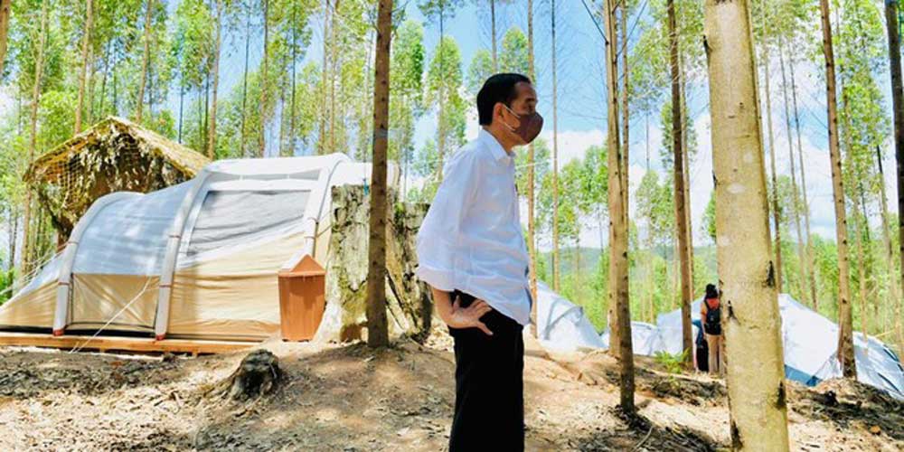 TINJAU: Presiden Joko Widodo saat meninjau kawasan IKN.  