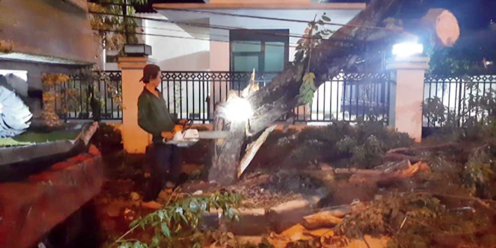 TUMBANg: Pohon besar tumbang di Jalan Jalan Sakti Lubis, Kelurahan Siti Rejo II, Medan Amplas.