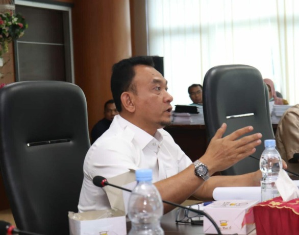 Anggota Komisi IV DPRD Medan Dedy Aksyari Nasution