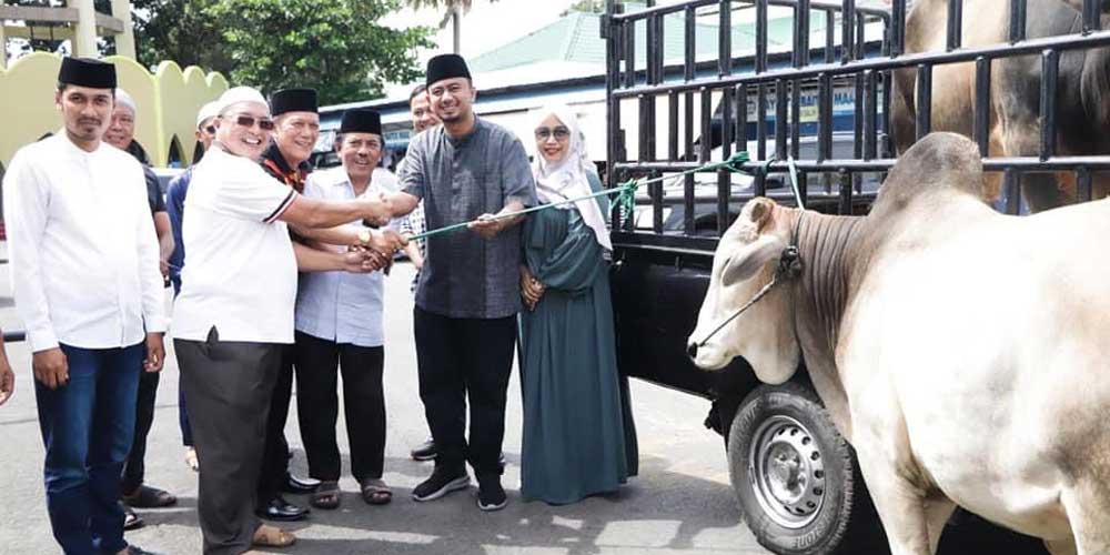SERAHKAN: Wakil Wali Kota Binjai Rizky Yunanda Sitepu (3 kanan) bersama Anggota DPR RI Delia Pratiwi br Sitepu (kanan), saat menyerahkan sapi qurban Idul Adha 1443 Hijriah kepada Ketua Badan Kemakmuran Masjid Agung, Jaharudin Batubara, dan Ketua Dewan Mas