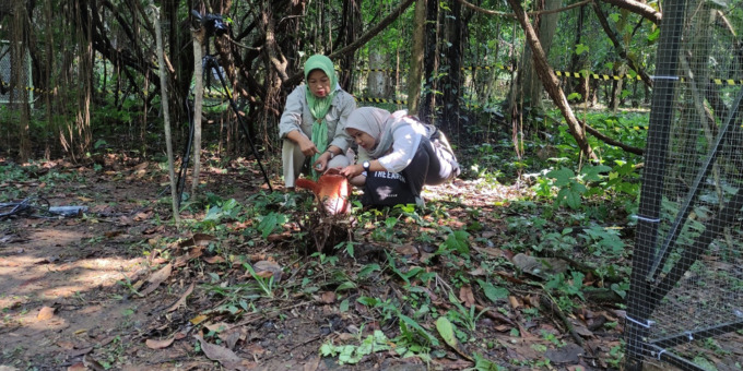 PERTAMA DI DUNIAI: Periset dan Kurator Koleksi Rafflesia di Kebun Raya Bogor mengamati Rafflesia Arnoldi yang mekar untuk pertama kalinya di dunia, Rabu (14/9).