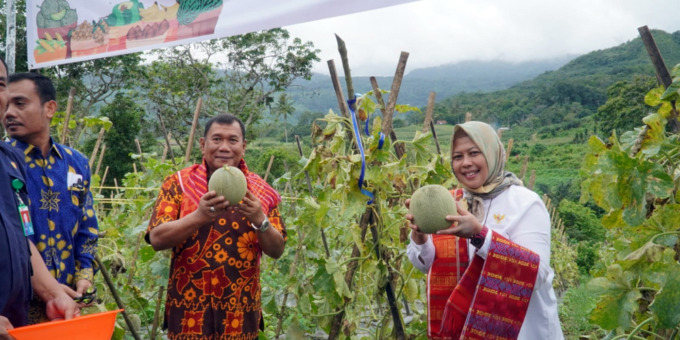 PANEN: Bupati Deliserdang Ashari Tambunan dan istri memanen buah di sela-sela soft launching kemitraan closed loop hortikultura di STM Hulu.