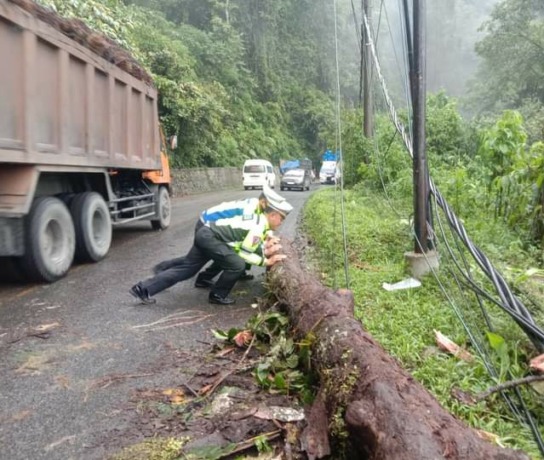 solideo/sumutpos DORONG: Personel Kepolisian berupaya mendorong batang pohon yang tumbang ke tepi jalan di jalur Medan-Berastagi.