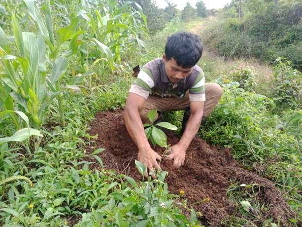 Foto: Dok Corcom Danone-AQUA  Penanaman pohon di daerah tangkapan air guna menjaga ketersediaan air sekaligus melestarikan lingkungan.