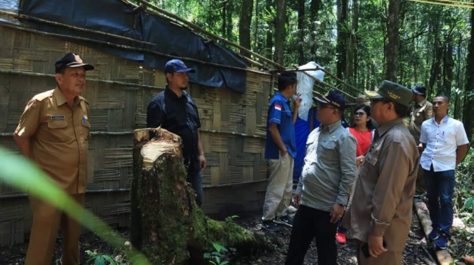 istimewa TERTIBKAN: Kepala Dinas Lingkungan Hidup Kabupaten Dairi, Amper Nainggolan (kiri) bersama tim terpadu saat menertibkan gubuk pelaku penderes Pohon Pinus di kawasan hutan lindung Lae Pondom, Kecamatan Sumbul, Dairi.
