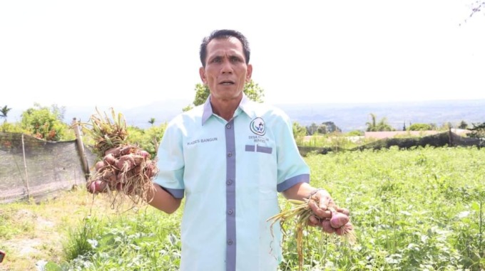 TUNJUKKAN: Kepala Desa Bangun, Kecamatan Parbuluan, Kabupaten Dairi, Japirin Sihotang menunjukkan hasil panen bawang merah varitas Batu Ijo saat panen perdana, Kamis (25/5).