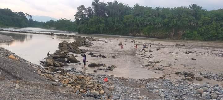 MATI: kan dari berbagai jenis di aliran Sungai Wampu, Bahorok, Langkat, mati diduga imbas dari PT Thong Langkat Energi membuka bendungannya hingga mengakibatkan debit air tinggi akibat lumpur.Istimewa/Sumut Pos.
