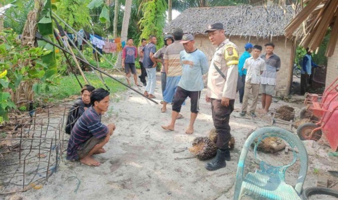 Dua terduga pelaku pencurian saat diamankan Bhabinkamtibmas Desa Mangga dua di  Polsek Tanjung Beringin. (Fadly/Sumut Pos)