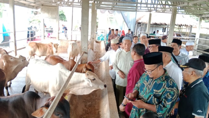 PETERNAKAN: Rombongan Tim SSABB Sumut bersama pengurus BKM se Kota Medan saat mengunjungi Peternakan Sapi dan Domba Tabebuya Farmland.Istimewa/Sumut Pos.