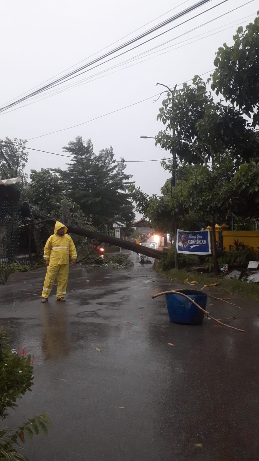 Pohon tumbang di depan SPM 26 Batuaji setelah hujan dan angin kencang melanda Batam.