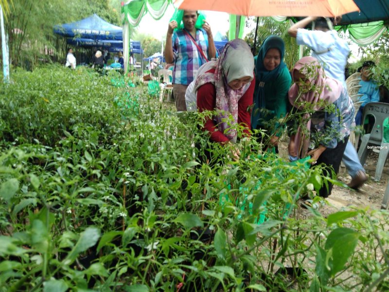 Kelompok tani di Batam
