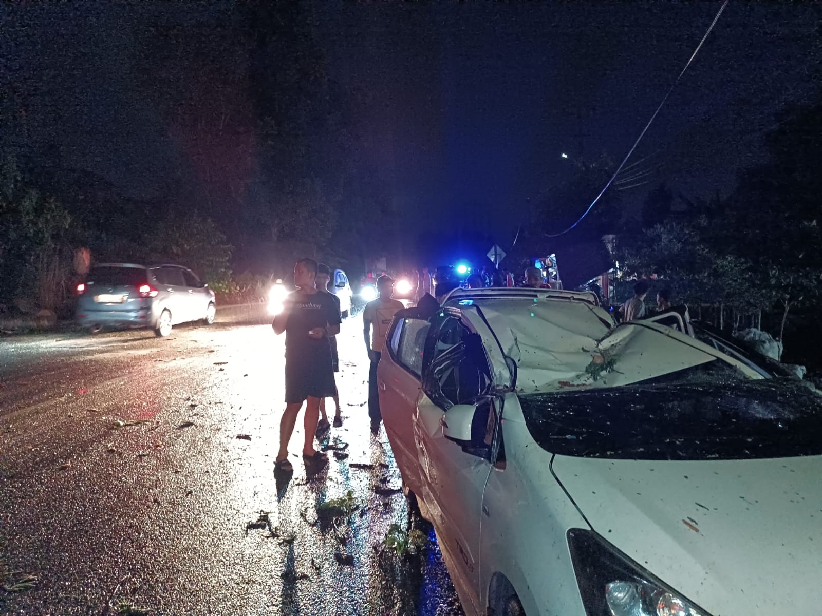 Mobil Toyota Agya usai ditimpa pohon tumbang di Jalan Adi Sucipto batu 11 Tanjungpinang.