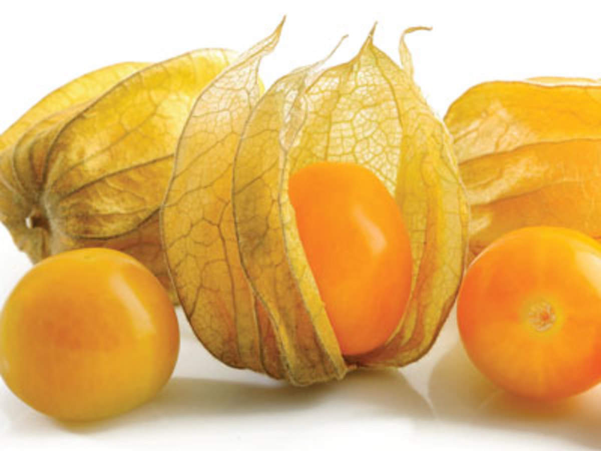 Cimplukan atau golden berry. F The Economic Times