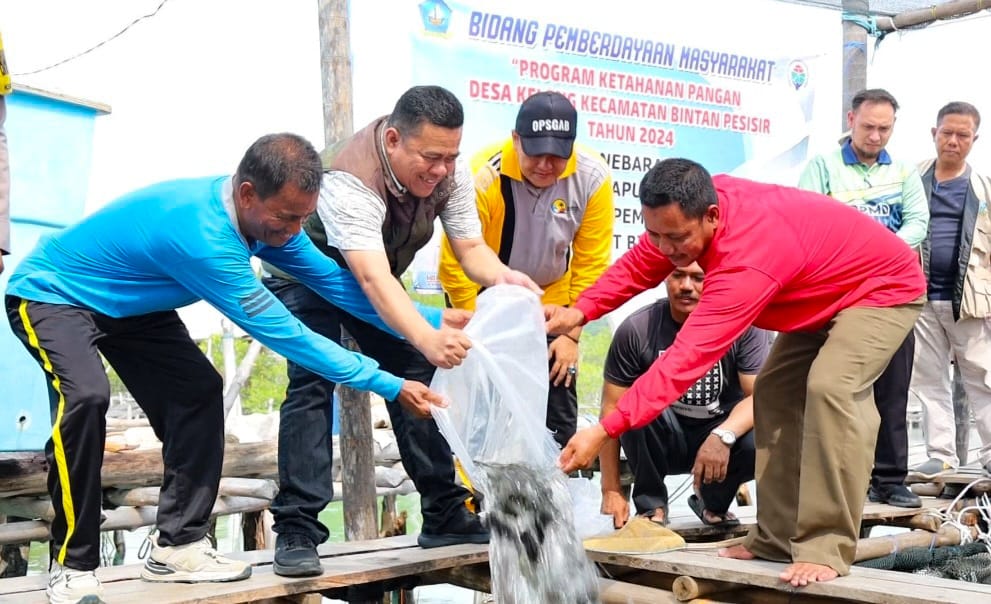 Sekda Bintan, Ronny Kartika menebar benih ikan kerapu cantang di Desa Kelong, Kecamatan Bintan Pesisir, Kamis (24/10/2024).