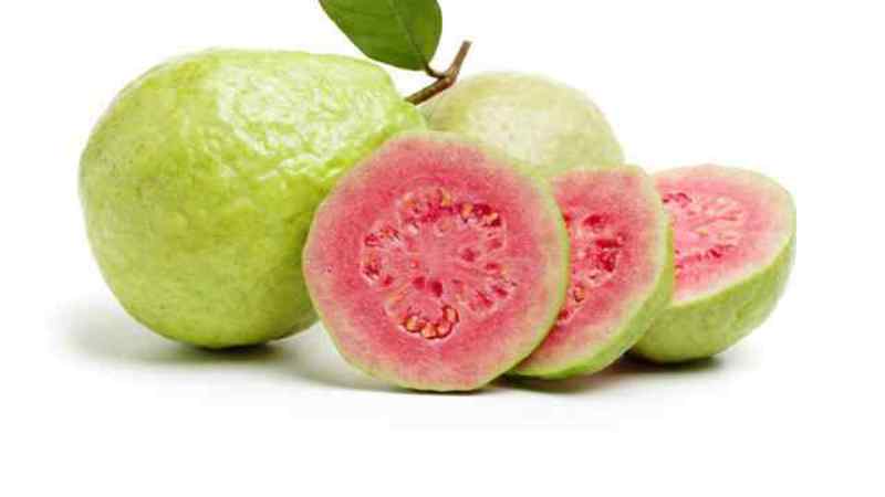 Jambu Biji yang kaya akan nutrisi mampu meningkatkan kekebalan tubuh.