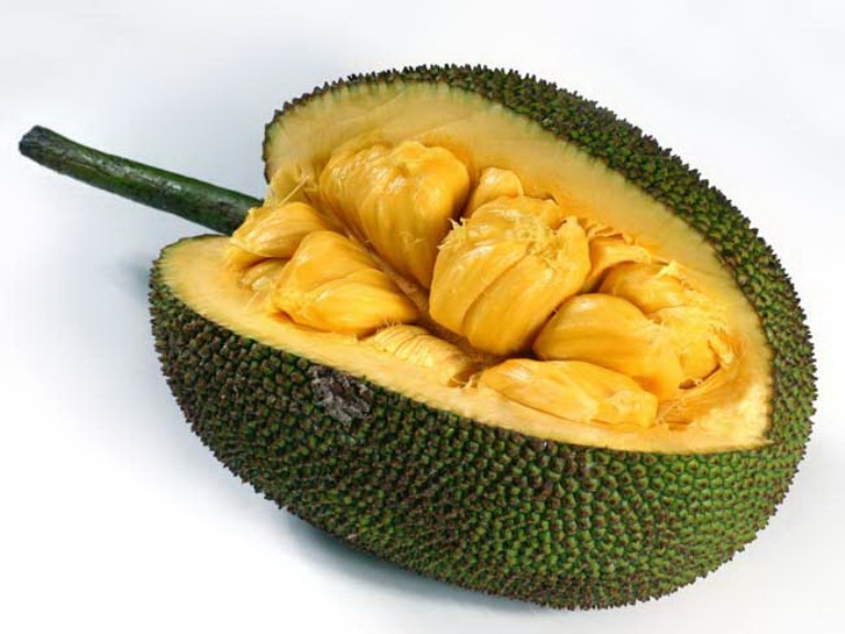 Ilustrasi. Rasa buah nangka yang lezat, ternyata banyak juga bermanfaat bagi kesehatan tubuh.
