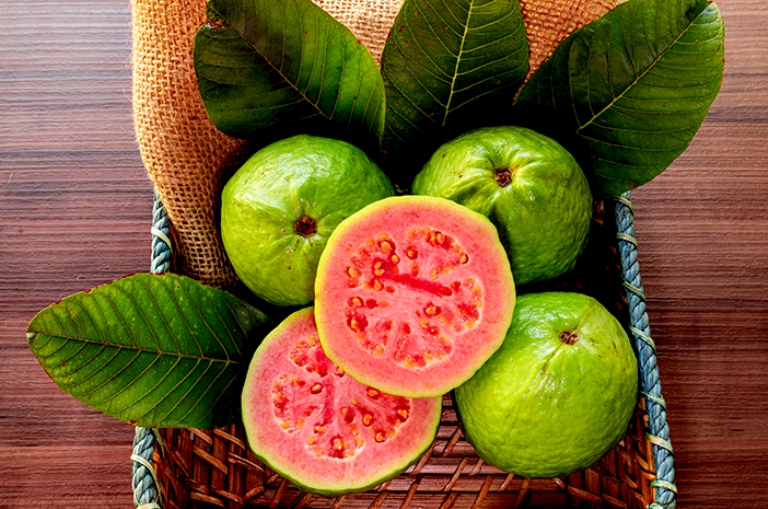 Ilustrasi. Memakan biji jambu klutuk ternyata tidak menyebabkan usus buntu.