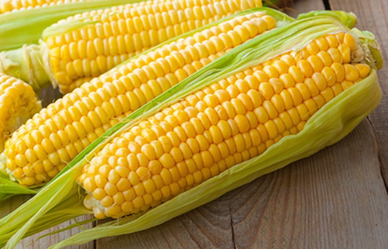 Ilustrasi. Konsumsi jagung yang berlebihan dapat menimbulkan risiko, terhadap diabetes.